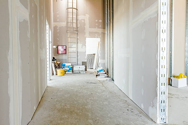 Best Acoustic or Soundproof Drywall Installation  in Egan, LA